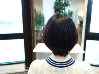 美容師でも騙される!ネットヘナのホームページに気をつけろ