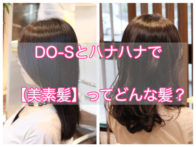 DO-S　ハナヘナ　美素髪