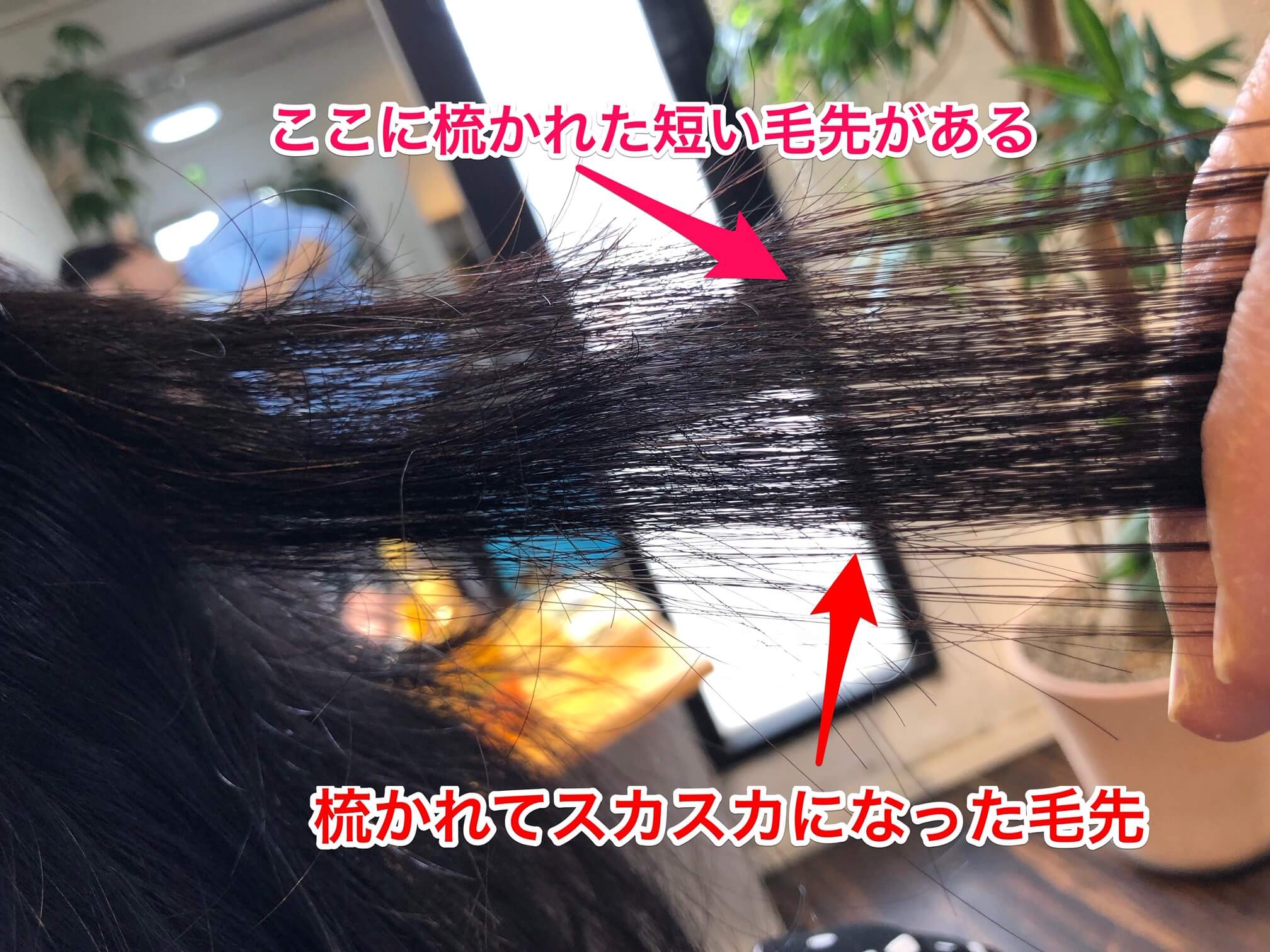 くせ毛を梳くのは何のため？ 本物の天然100％へナのハナヘナで－5歳のツヤ髪を♪髪と頭皮を傷めない白髪染め.髪が