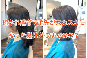 すき過ぎた髪はこんな状態になっているんです 知ってましたか 本物の天然100 へナのハナヘナで 5歳のツヤ髪を 髪と頭皮を傷めない白髪染め 髪が多い くせ毛の悩みも解消する美容室arche 神戸 大阪