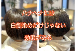 ヘナとヘアカラーは全く染まり方が違います 本物の天然100 へナのハナヘナで 5歳のツヤ髪を 髪と頭皮を傷めない白髪染め 髪が多い くせ毛の悩みも解消する美容室arche 神戸 大阪