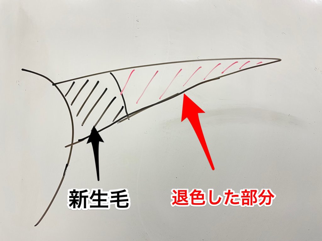 初めてのヘナの白髪染め プリン状態の髪はどうする 本物の天然100 へナのハナヘナで 5歳のツヤ髪を 髪と頭皮を傷めない白髪染め 髪が多い くせ毛の悩みも解消する美容室arche 神戸 大阪