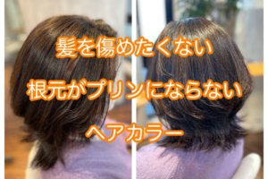 ヘアカラーで根元がプリンにならない染め方知っています 本物の天然100 へナのハナヘナで 5歳のツヤ髪を 髪と頭皮を傷めない白髪染め 髪が多い くせ毛の悩みも解消する美容室arche 神戸 大阪