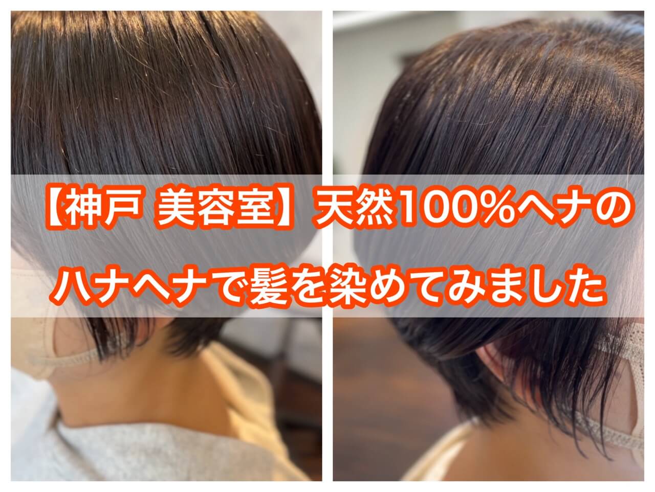 【神戸 美容室】天然１００％ヘナのハナヘナで髪を染めてみました