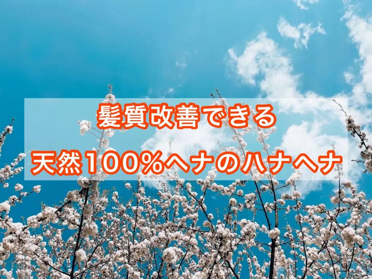 髪質改善できる天然100％ヘナのハナヘナ