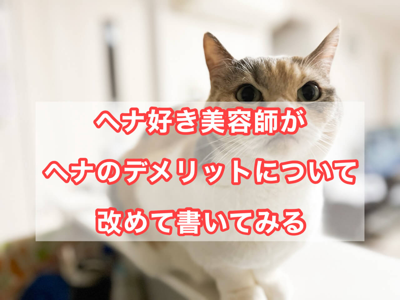 ヘナ好き美容師がヘナのデメリットについて改めて書いてみる