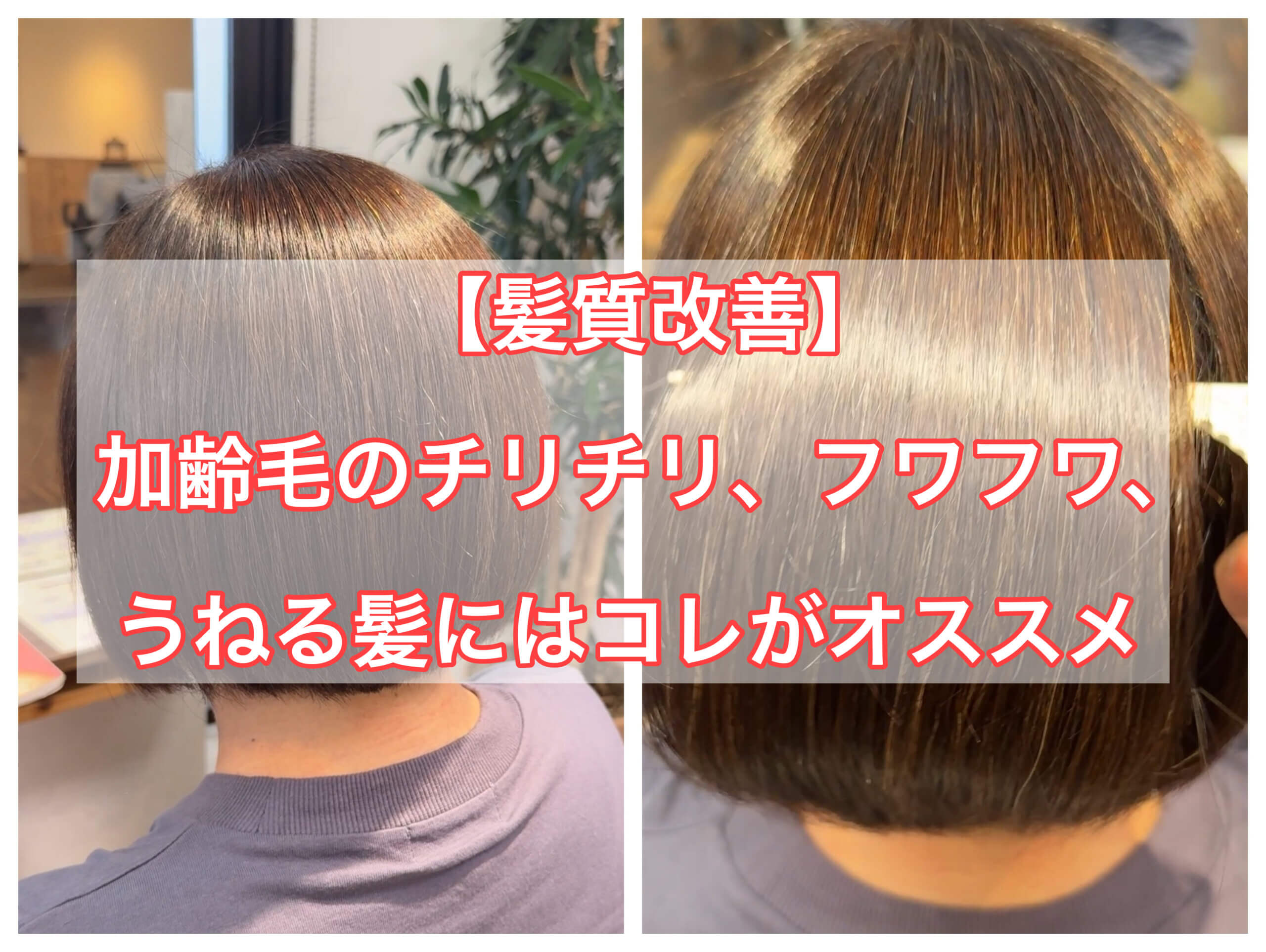 【髪質改善】加齢毛のチリチリ、ふわふわ、うねる髪にはコレがオススメ