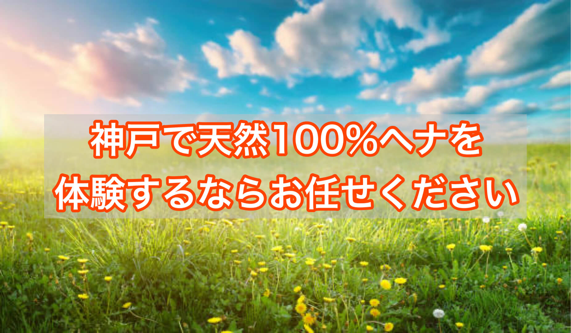 神戸で天然100％ヘナを体験するならお任せください